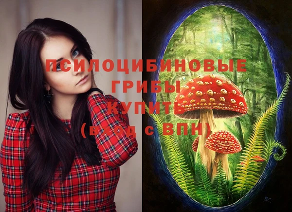 твердый Нея